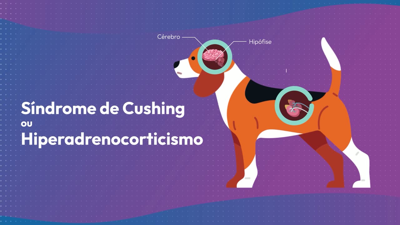 Syntec